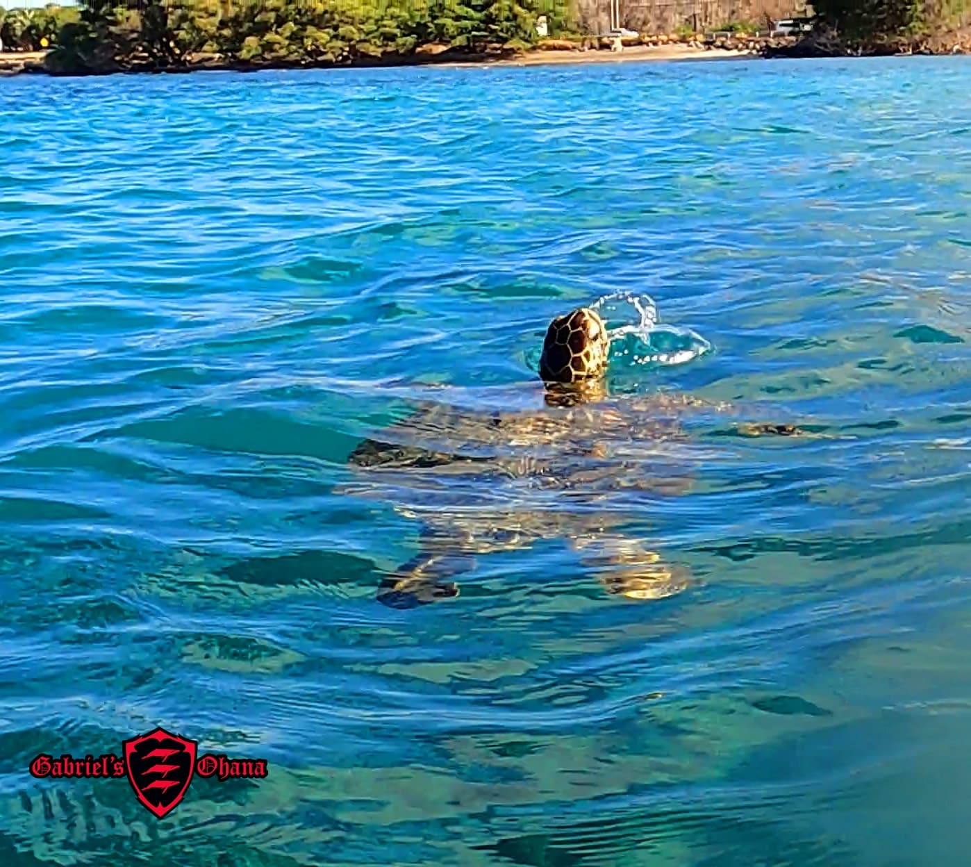 Clear Kayak Reef Tour with Pontoons