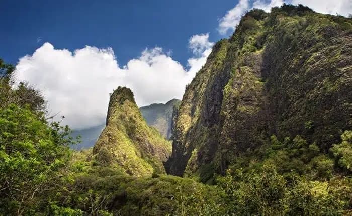 Best of Maui: Sips, Sites & Bites (M1)