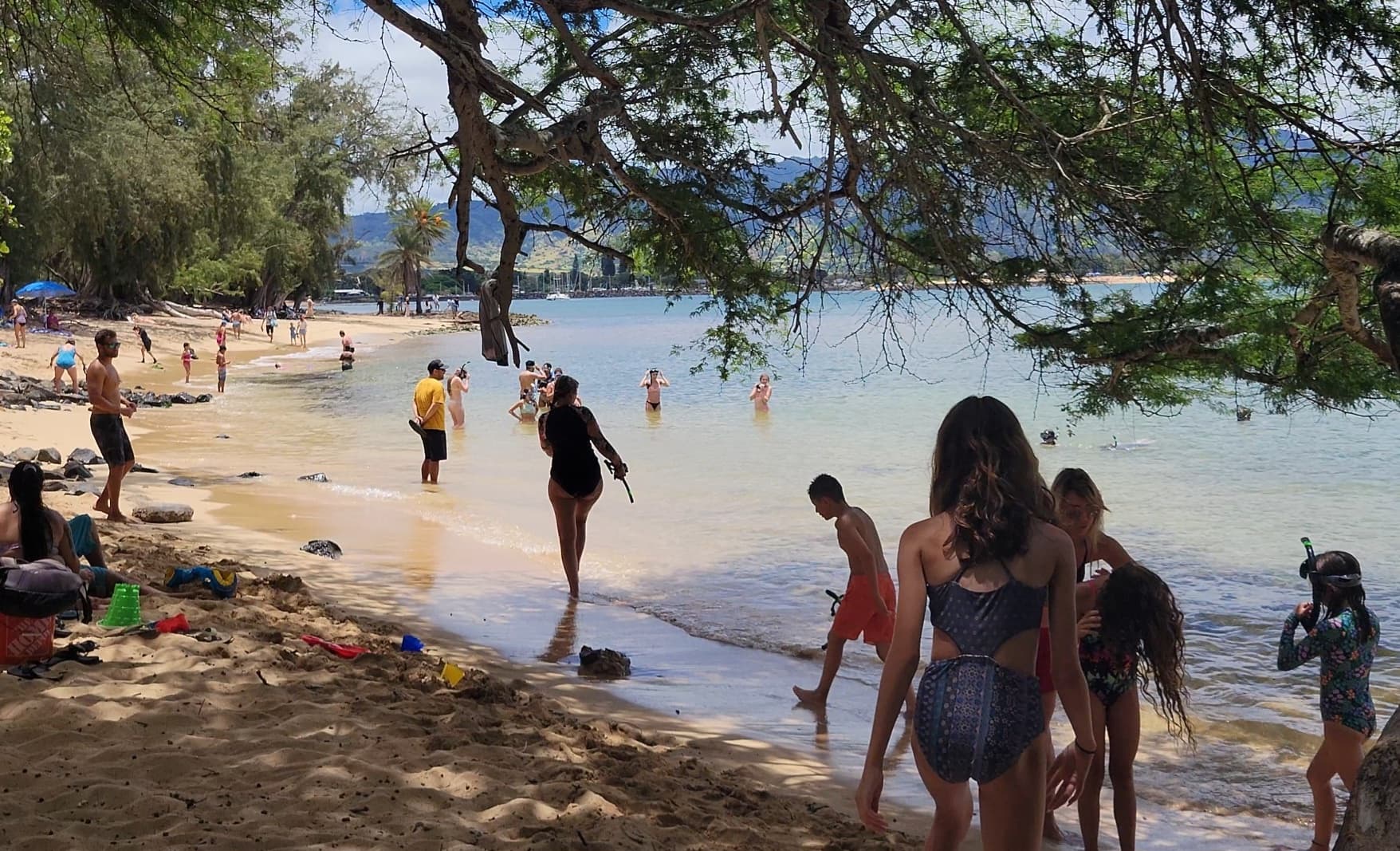 SPANISH Northshore Circle Island Adventure