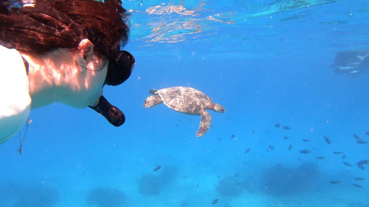 Semi-Private Snorkeling Adventure