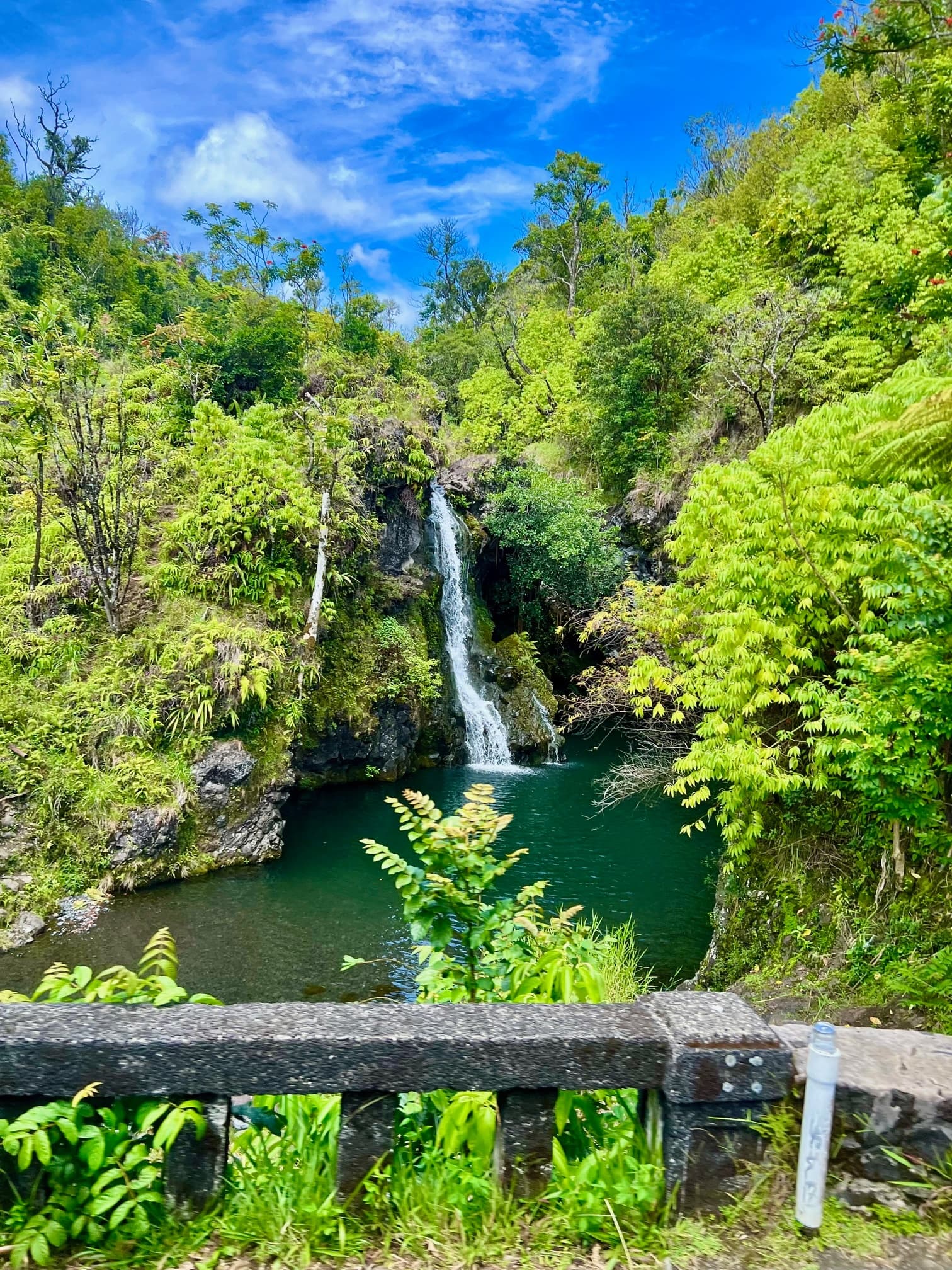 Maui’s Sea Turtles, Waterfalls and Road to Hana Adventure