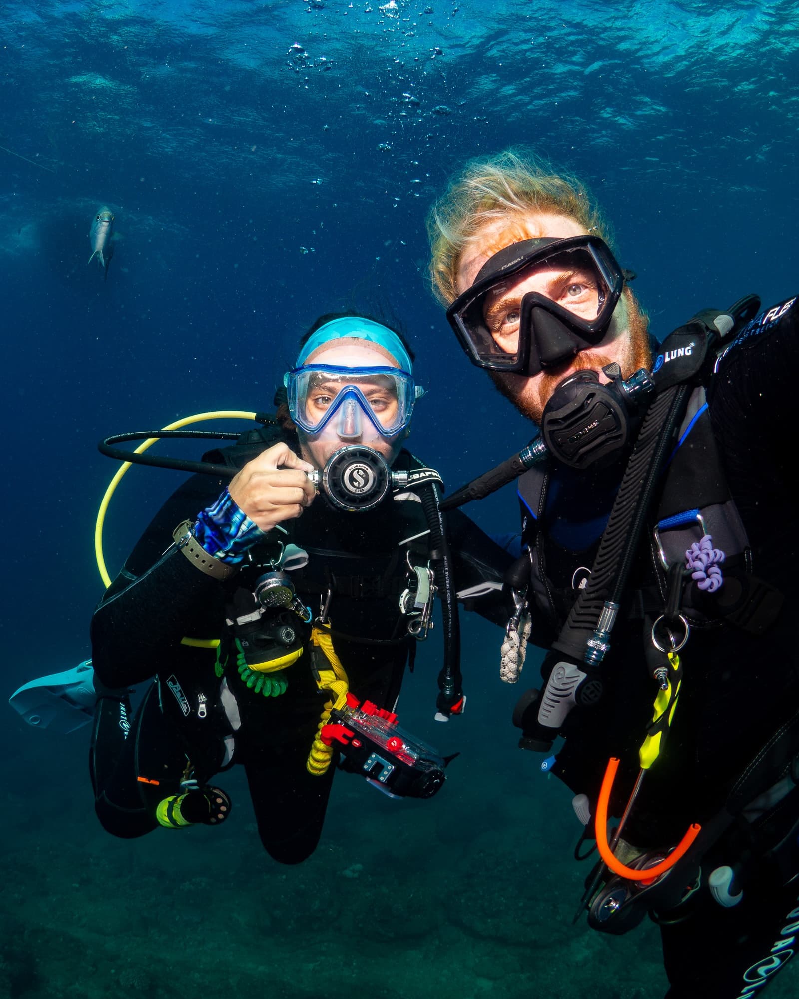 Koloa Landing Twilight 2-Tank Shore Dive