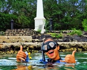 Kealakekua Bay/Captain Cook Dolphin Watch and Reef Snorkel