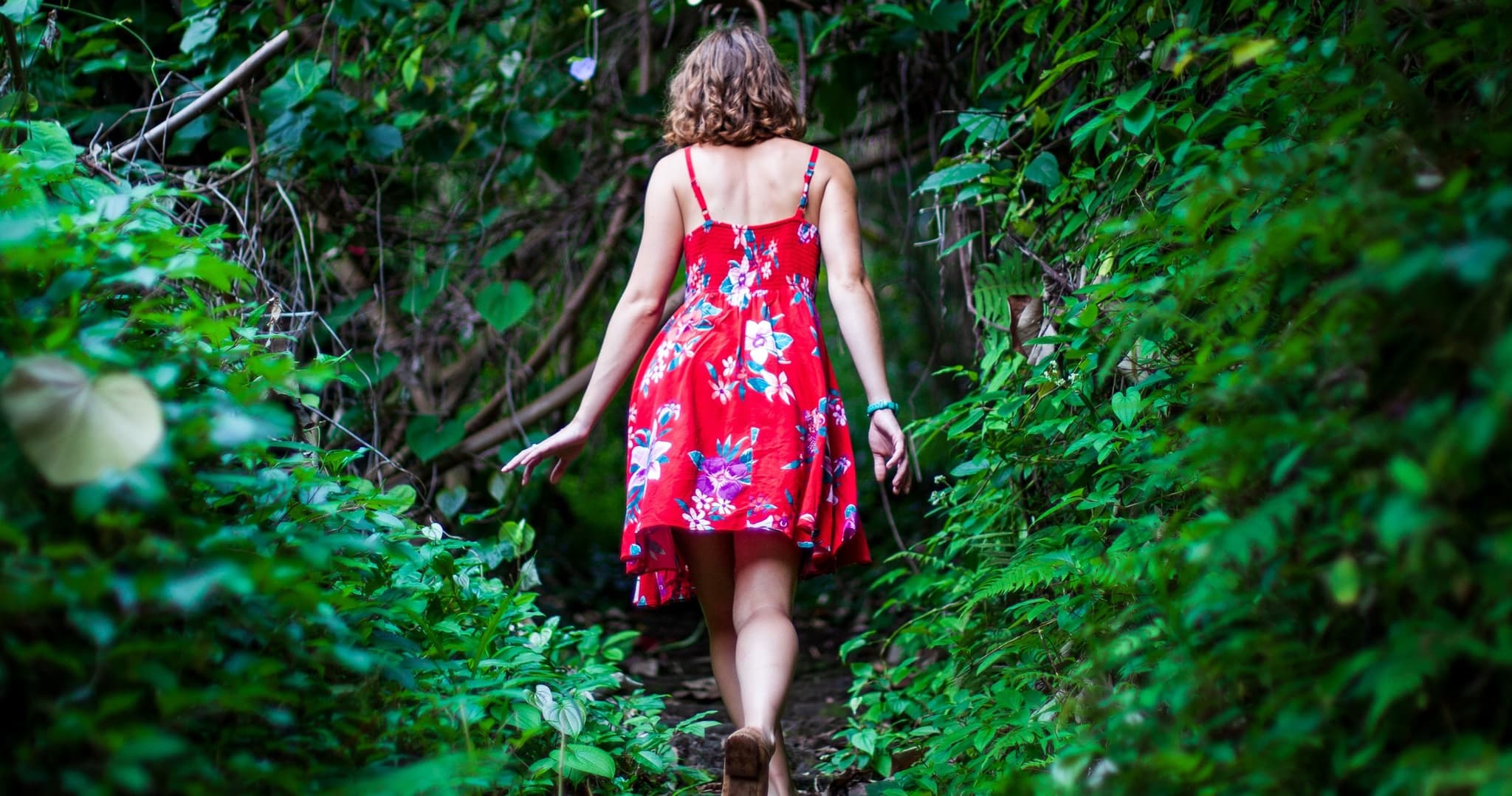 Private Iao Valley/Upcountry Farm VIP Tour - Full Day