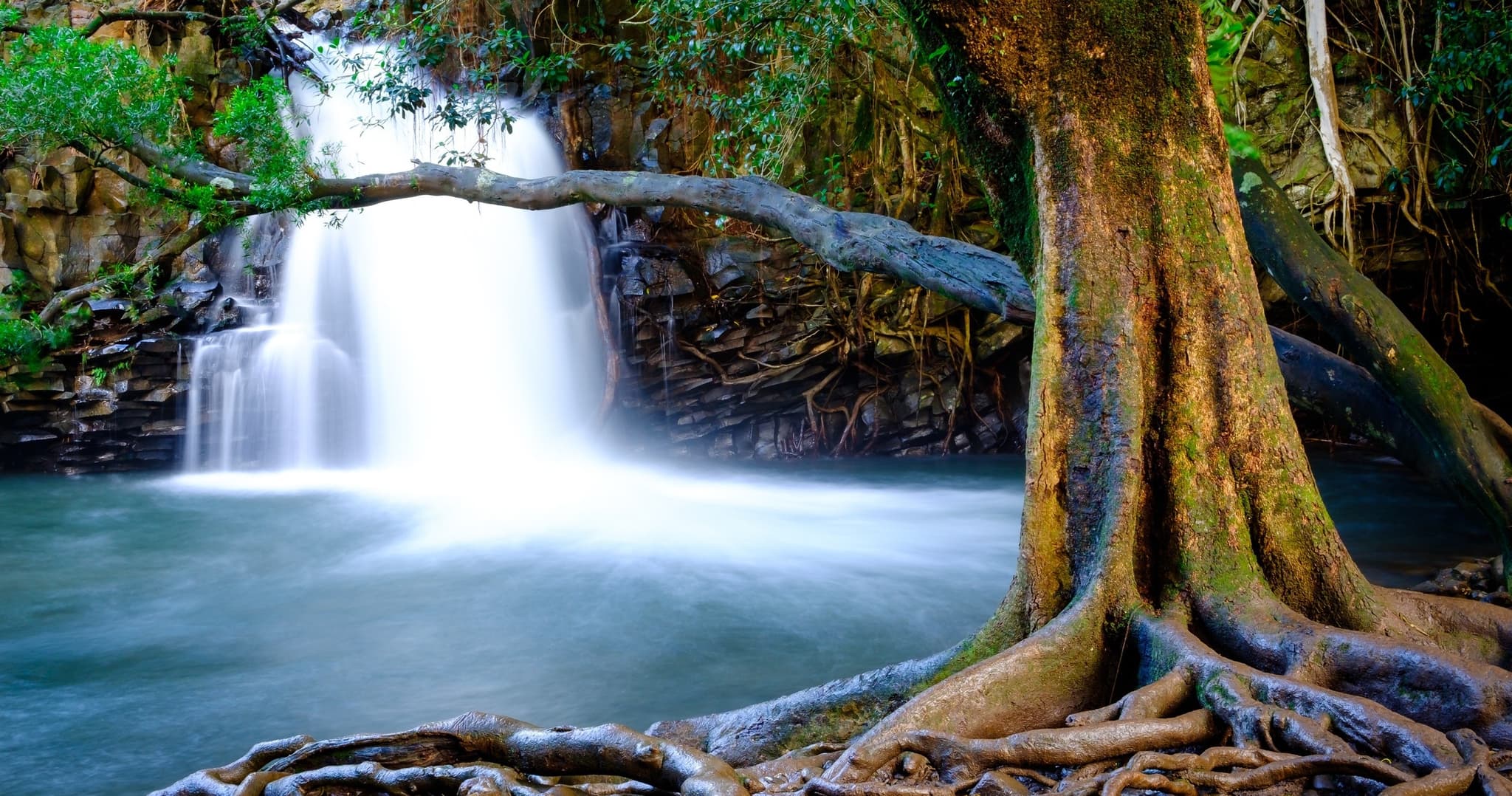 Private Land and Sea Tour - Upcountry