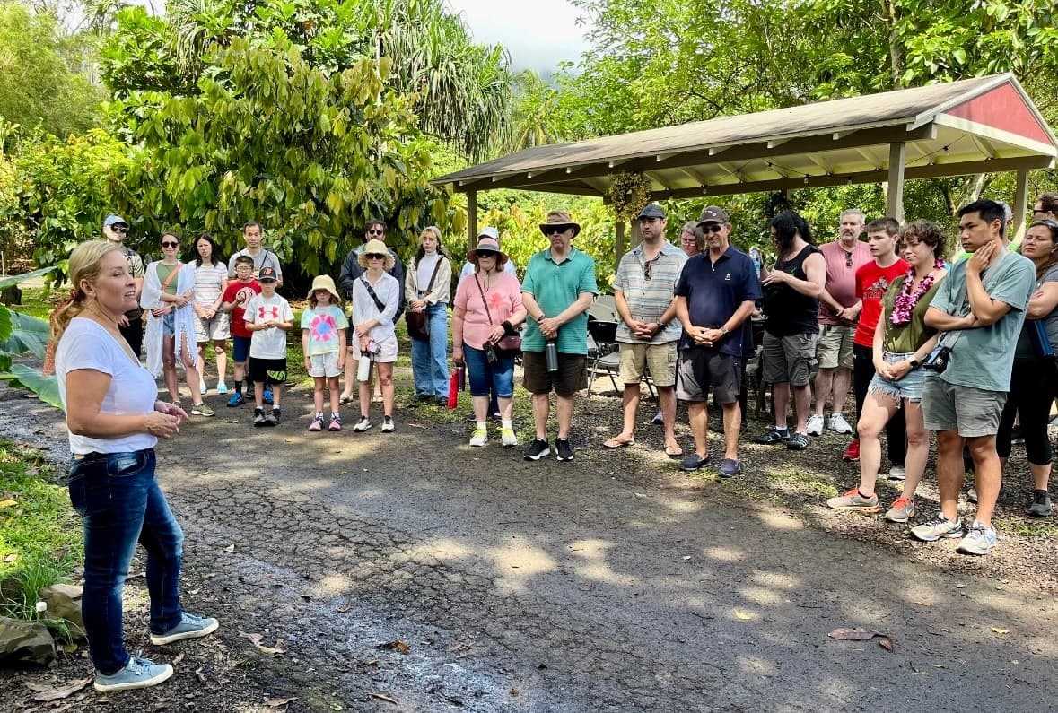 Cacao Farm Tour & Chocolate Tasting