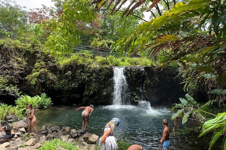 Small Group Full Day Road to Hana Adventure