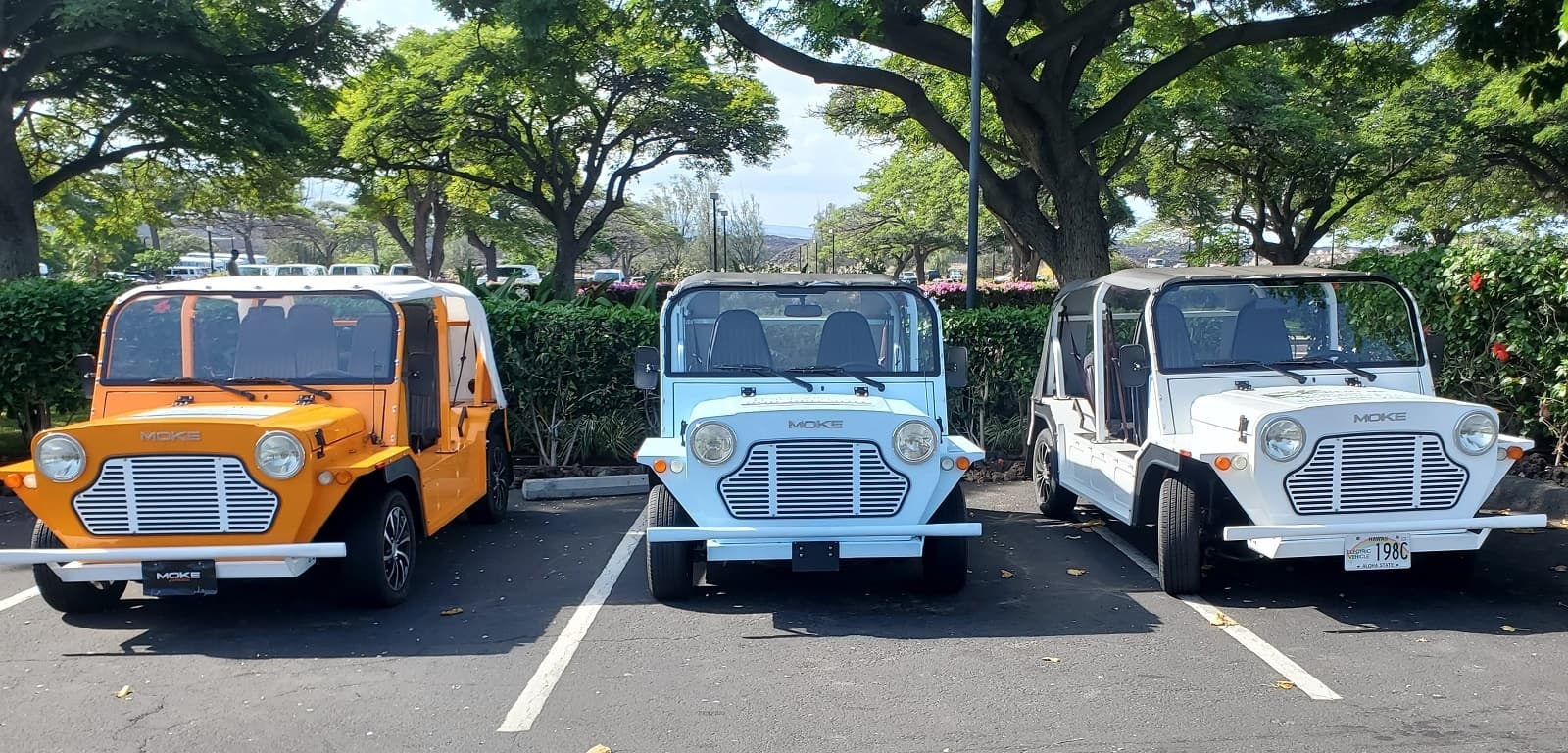 Moke Electric Vehicle: Allowed only in WAIKOLOA RESORT. Top Speed 28mph