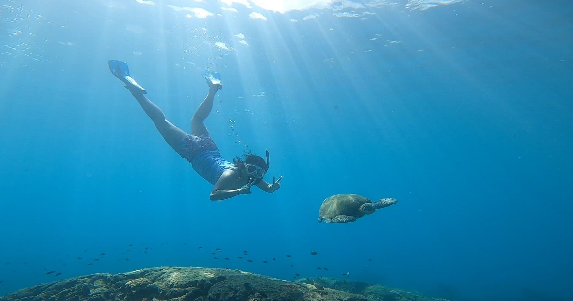 西オアフの海で体験するシュノーケリング＆スキンダイビングツアー！