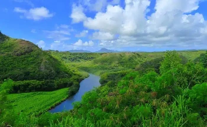 Waimea Canyon, Wailua River & Fern Grotto Tour (K1)