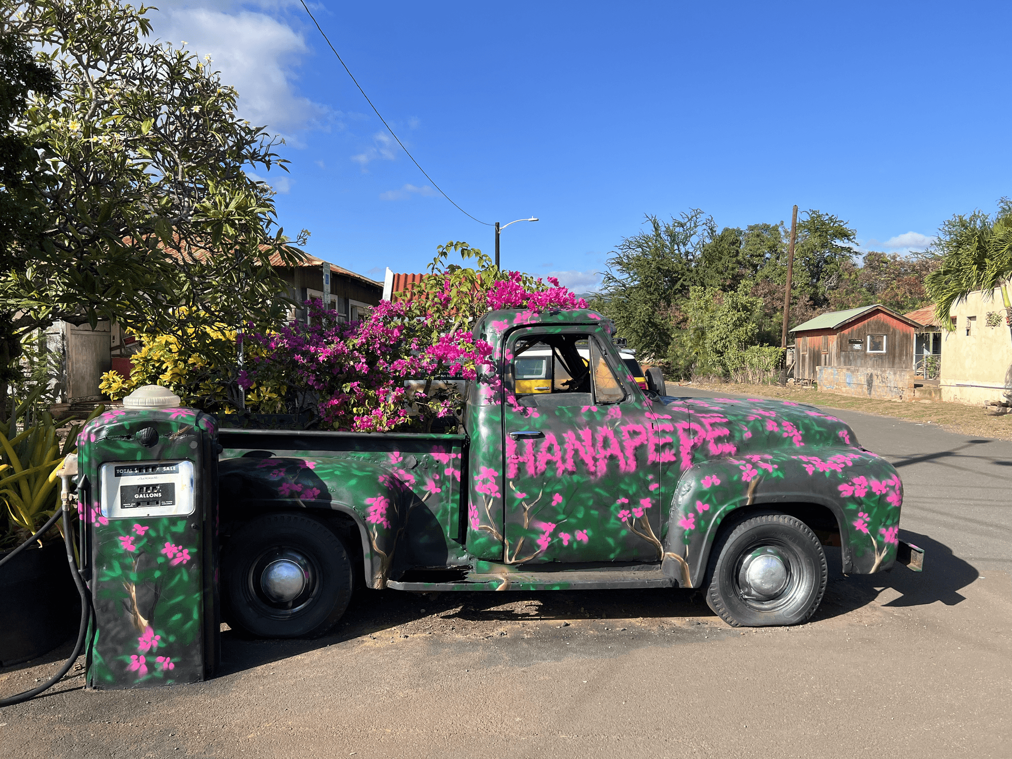 Private Kauai Island Tour. Featuring Waimea Canyon