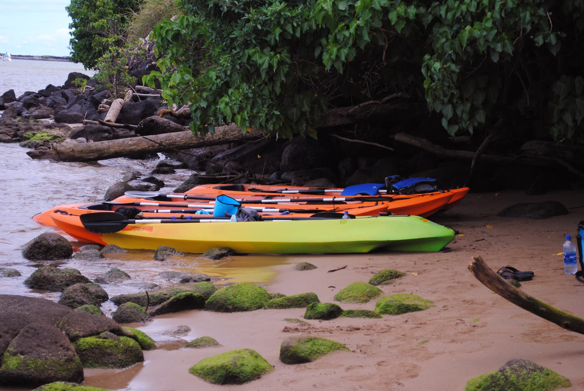 EPIC Kayak Club Sunrise Kayak