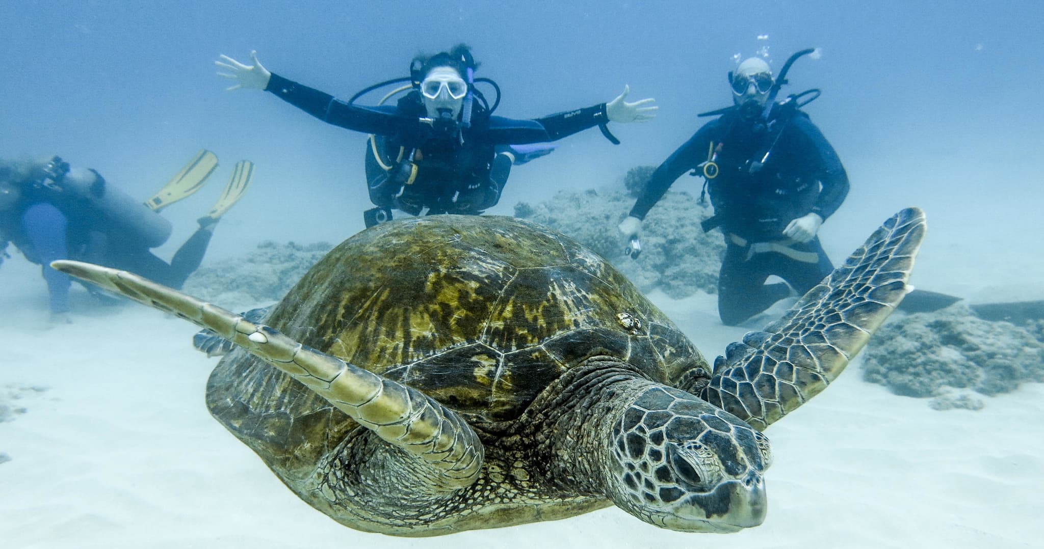 Scuba/Snorkel Adventure