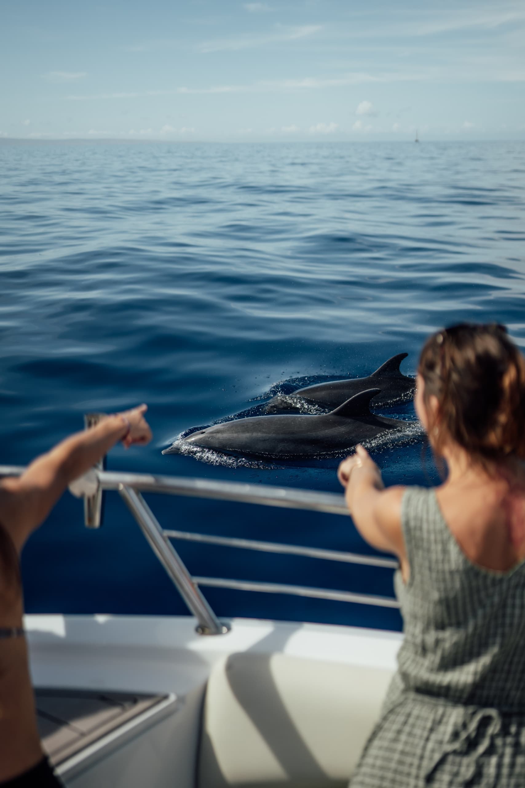 Custom Private Charter