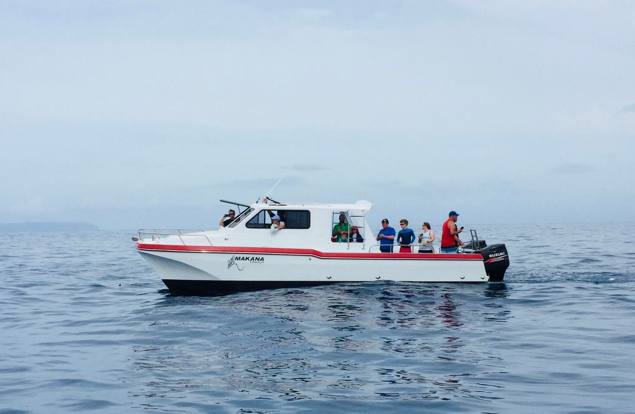 Na Pali Coast Tour on the Makana (up to 12 passengers)