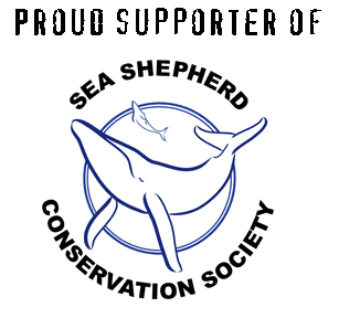 Sea Shepherd 2 Hour Whale Watch