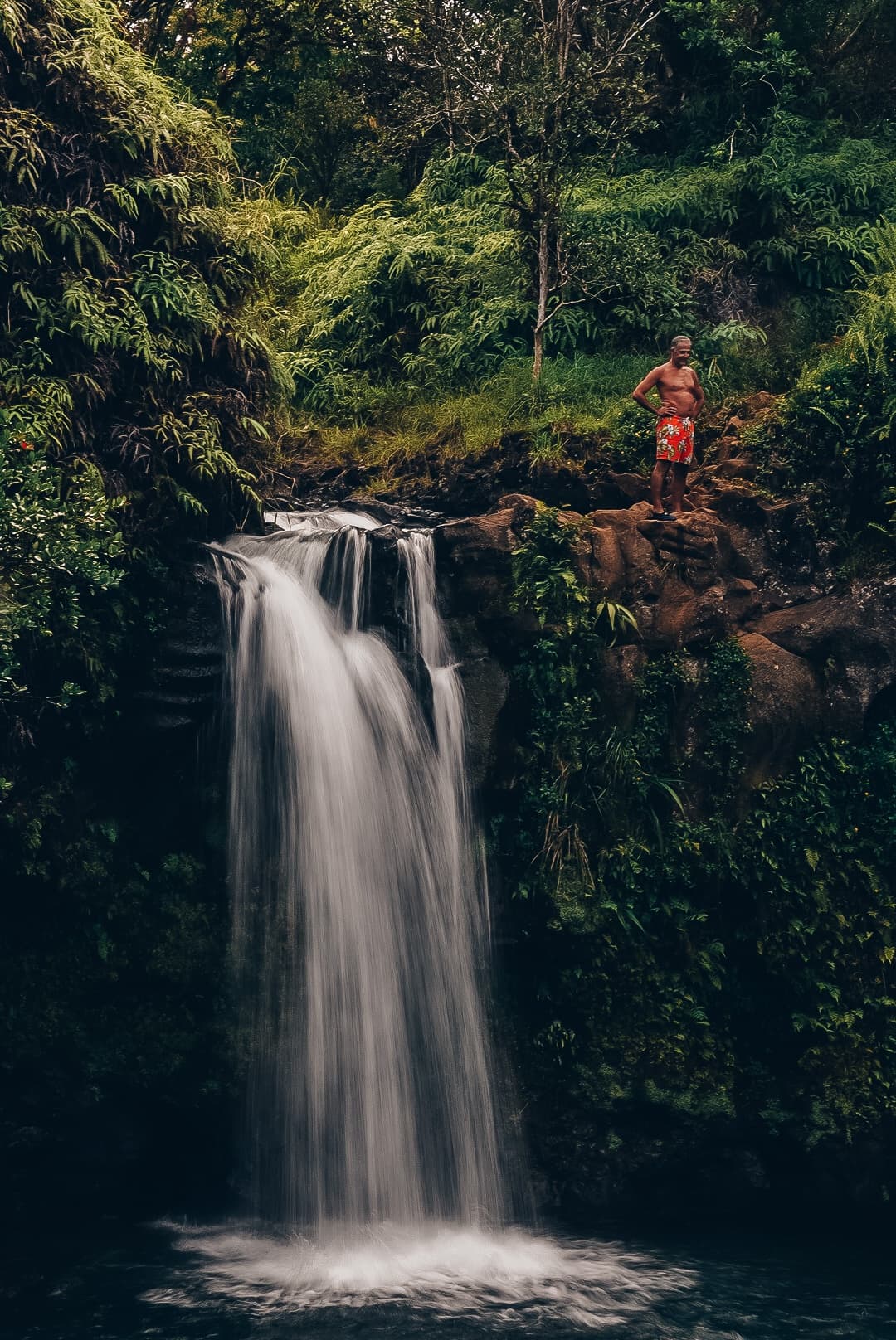 VIP Road to Hana Tour