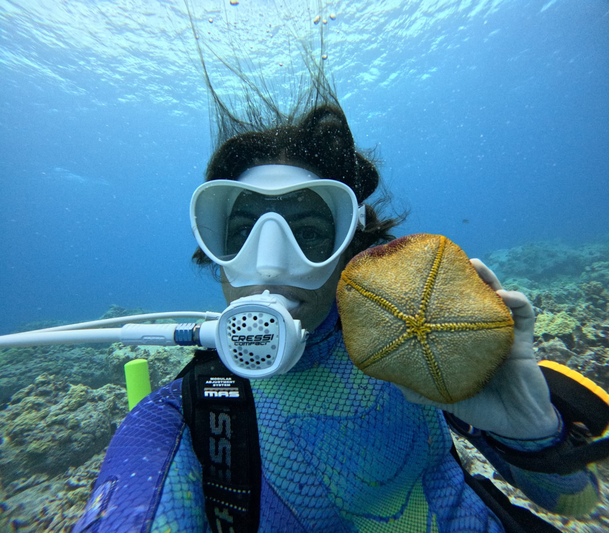 1.5 Hour Snorkel or 1 Tank Dive Boat Tour