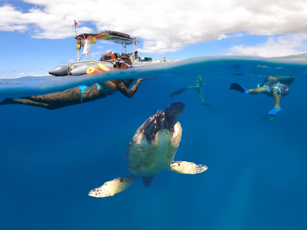 Semi-Private 3 Hour Eco-Raft Maui Turtle Snorkel