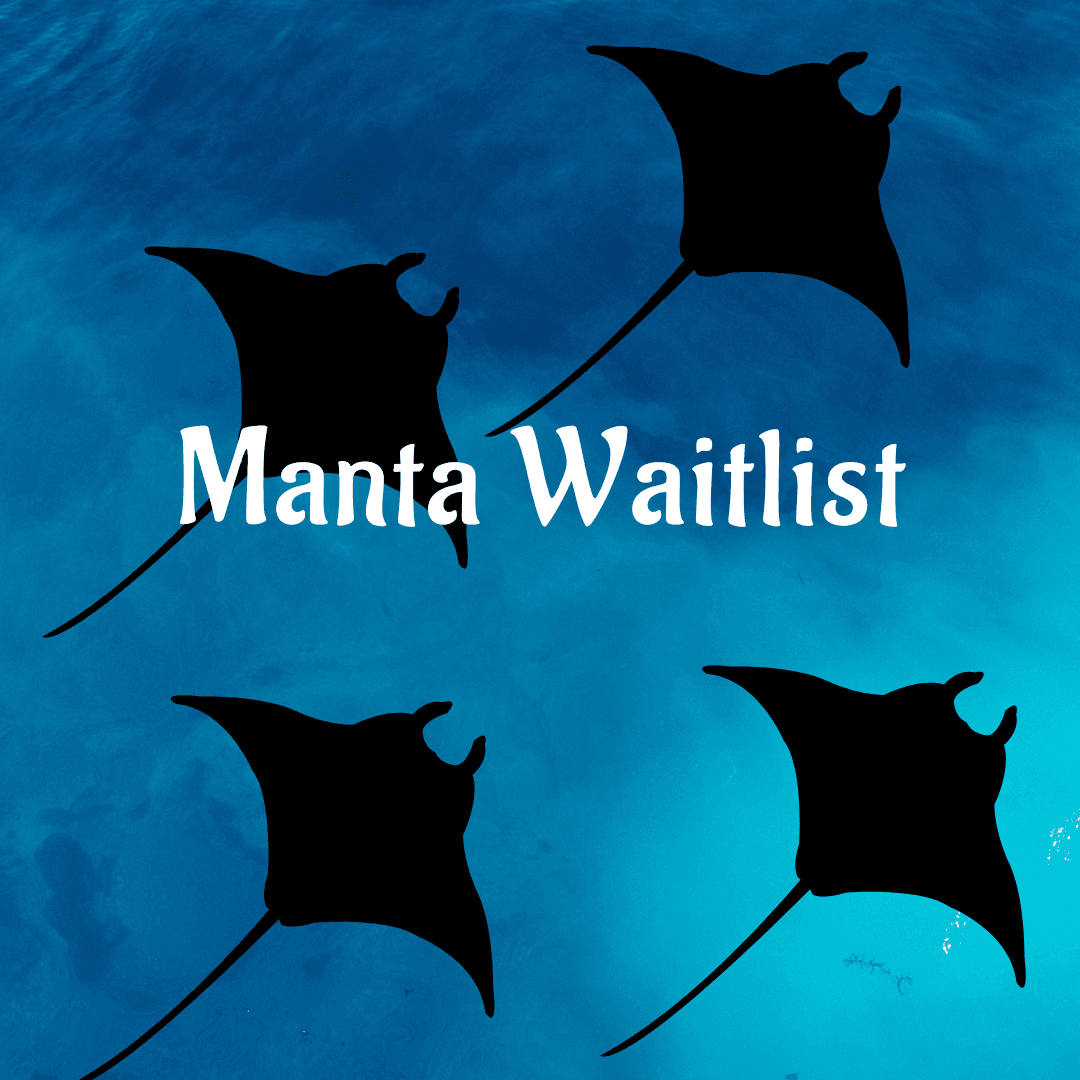 MANTA WAITLIST