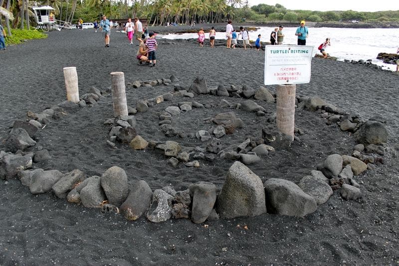 South Point Vortex Venture 🌌