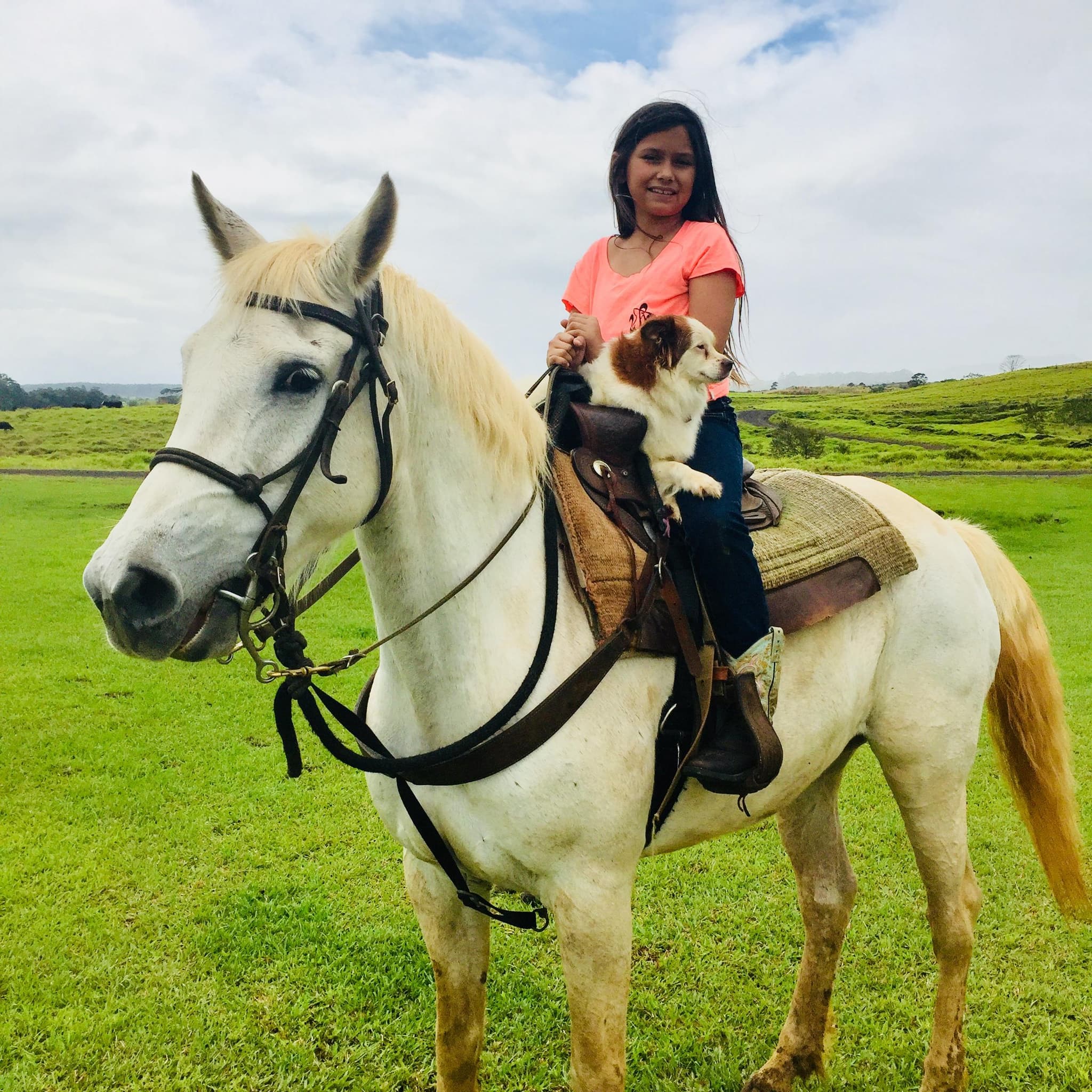 Wailea Horseback Adventure on Hawaii Big Island  Horseback, Snack & Swim Tour