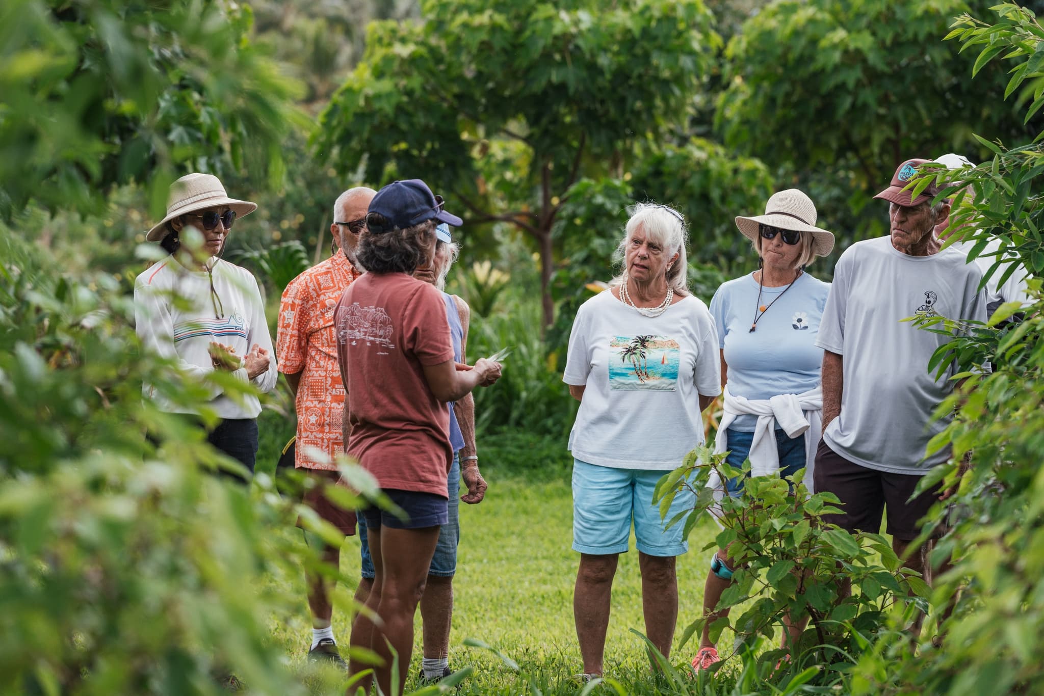 TUESDAY | Introduction to the Ahupua’a, it’s Food Systems and Waterways