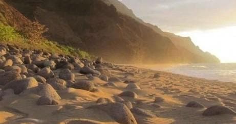 Full-Day Kauaʻi Adventure