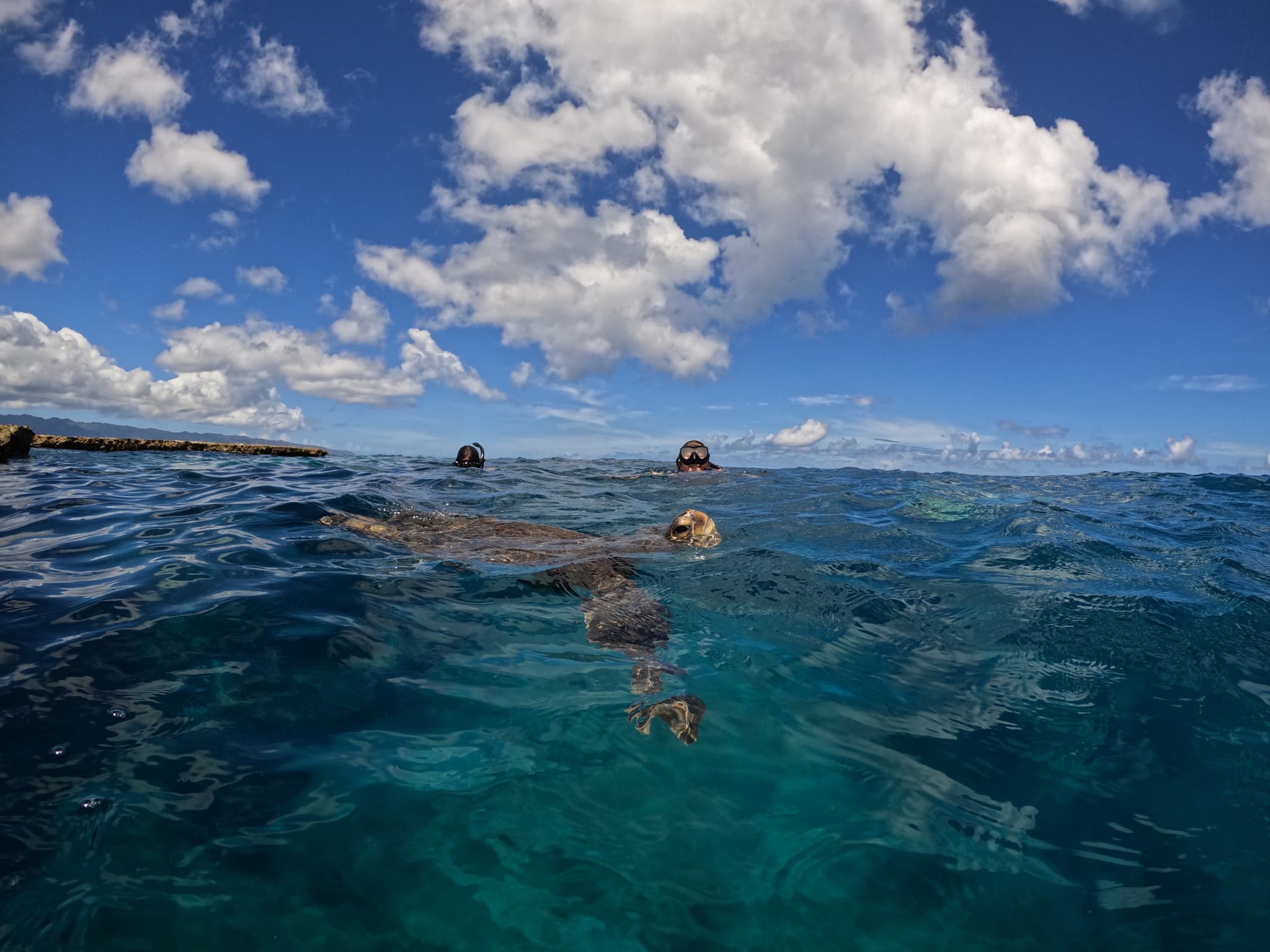 Half Day Adventure Retreat (Surf & Turf)