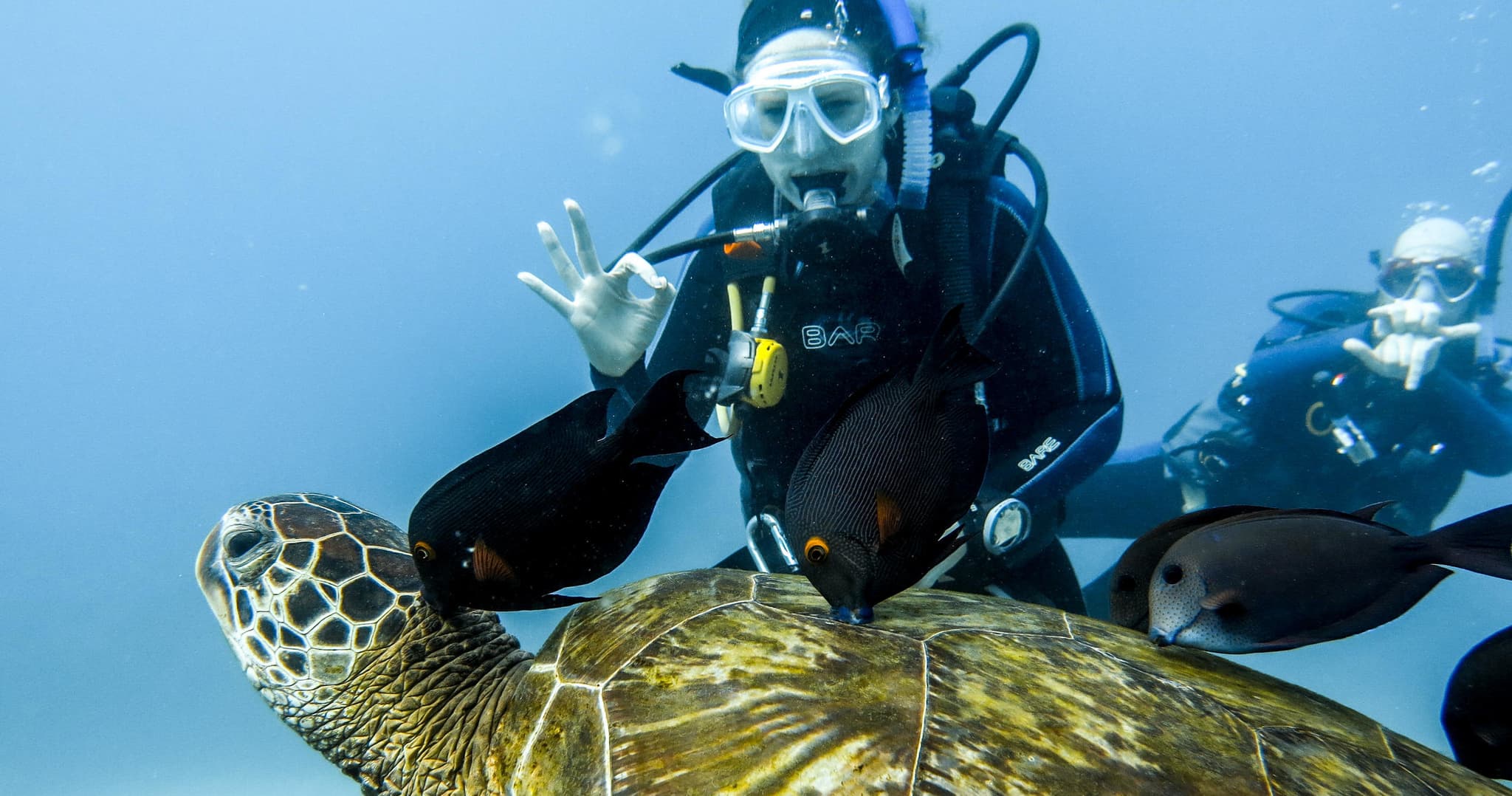 Scuba/Snorkel Adventure