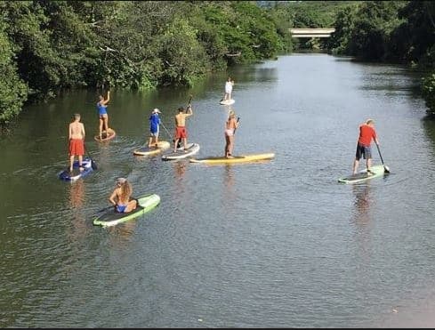 River Turtle Tour and SUP Lesson