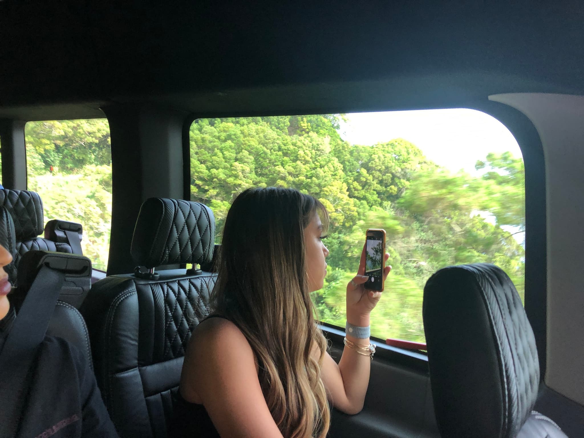 Luxury Full-Circle Road to Hana Tour - Private Platinum Minibus
