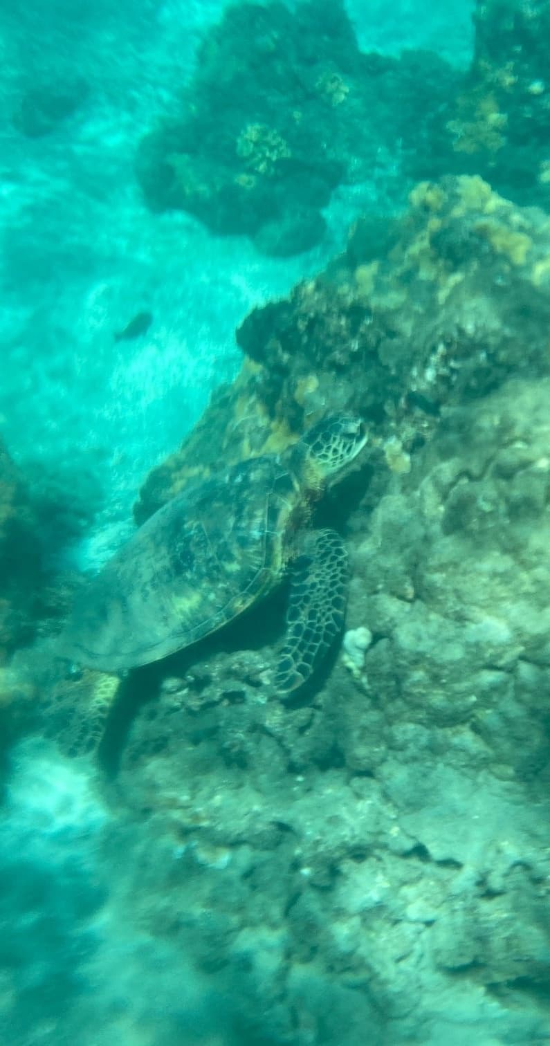 Mauka To Makai Adventure (Mountain to Ocean)