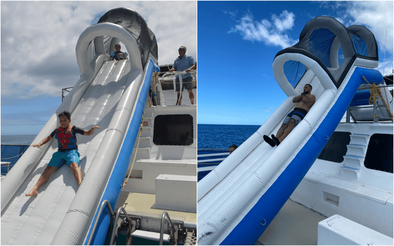 5 in 1 Deluxe Turtle Snorkeling. (5 Activity+Free Pick up & Drop off)