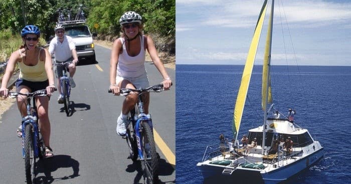 Rainforest to Reef tour:  Half-Day