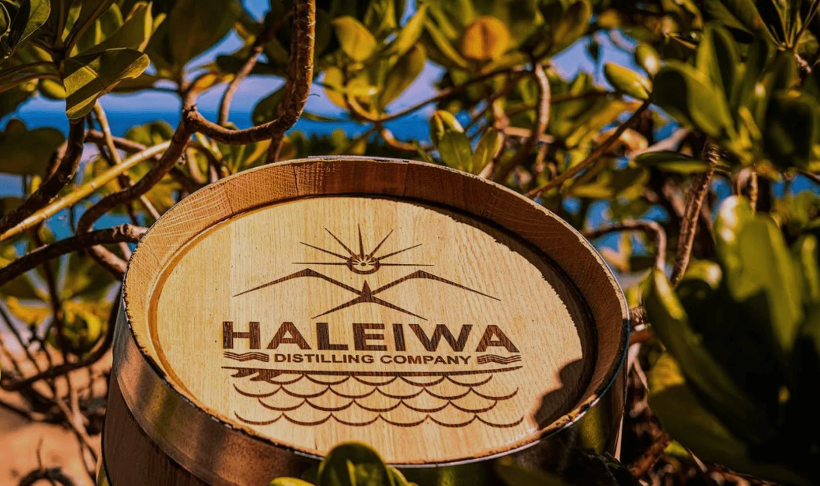 The Haleiwa Distilling Experience: Aloha in Every Sip