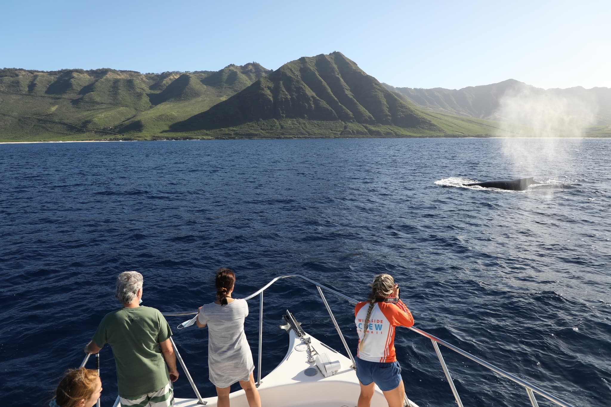 Wildlife in Depth - Shared Charter