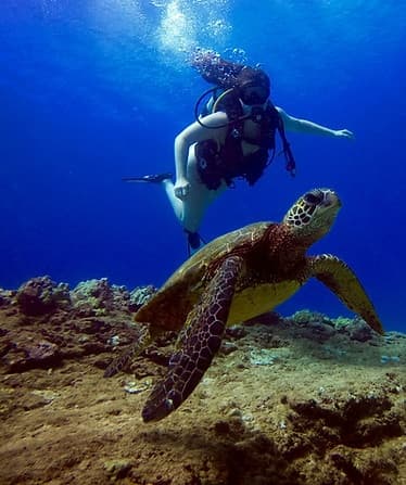 Private Certified Dive Adventure