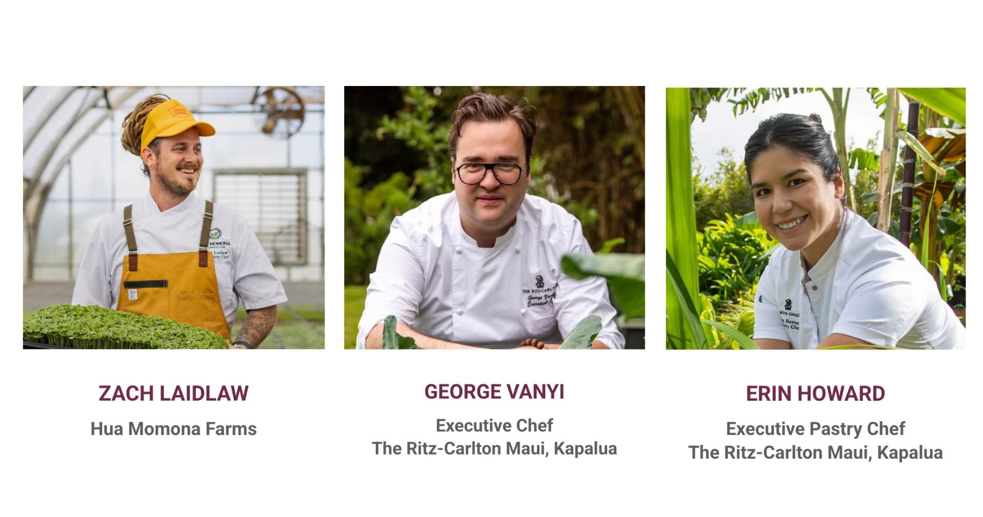Kapalua Wine & Food Festival - Signature Winemaker & Celebrity Chef Dinner