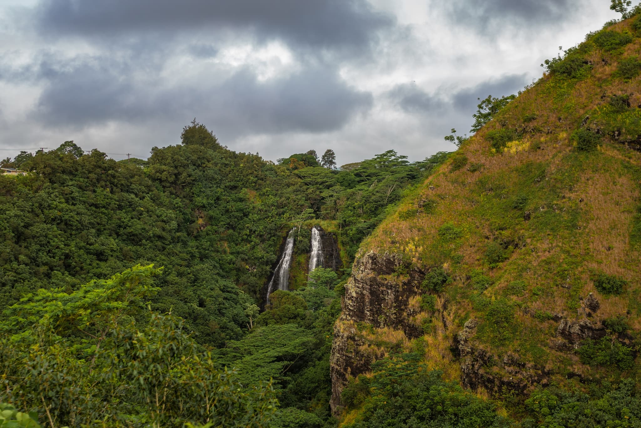 Opaeka'a Falls & Forest Reserve