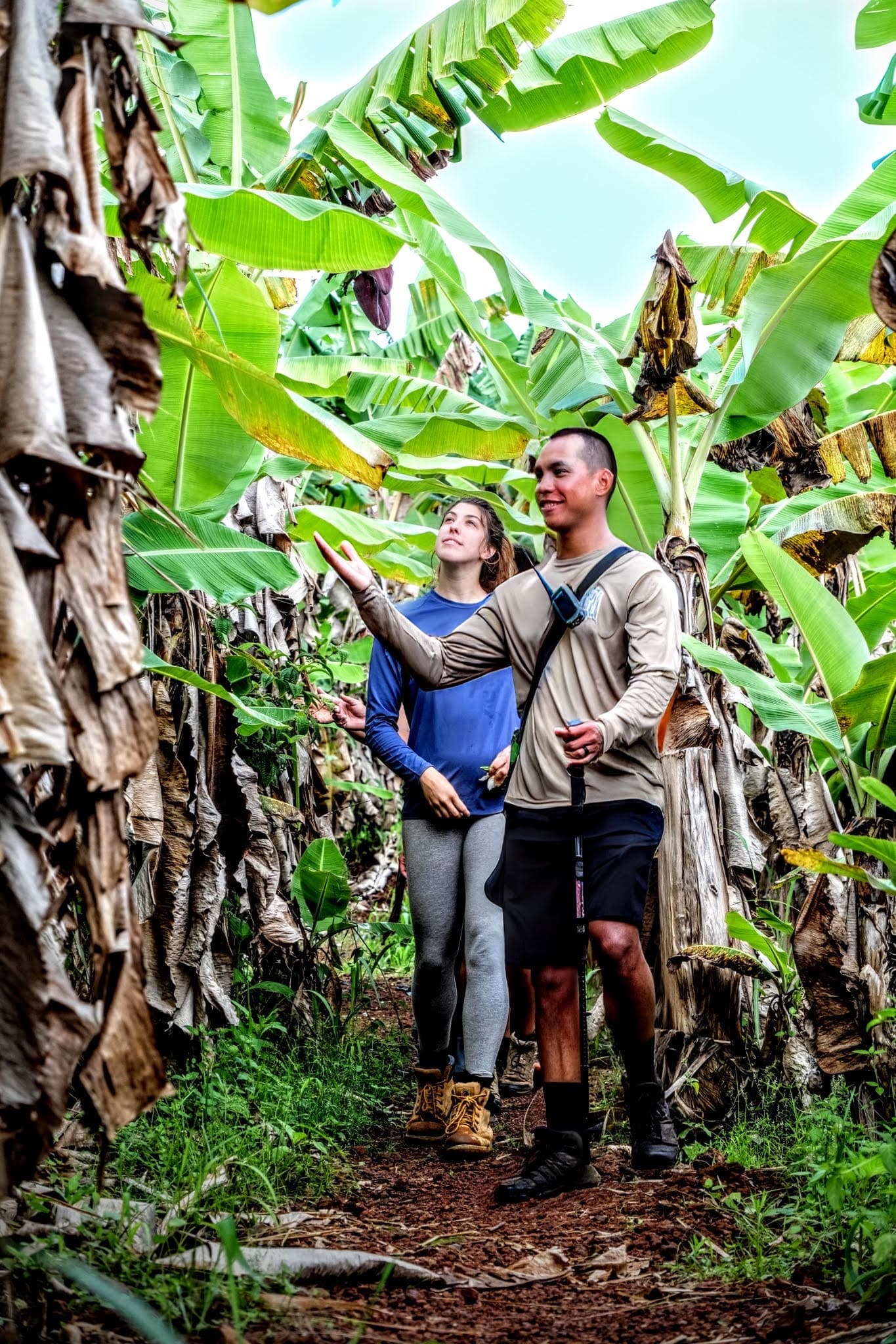 Waterfall Hiking Tour with Hilo Cruise Ship Pickup