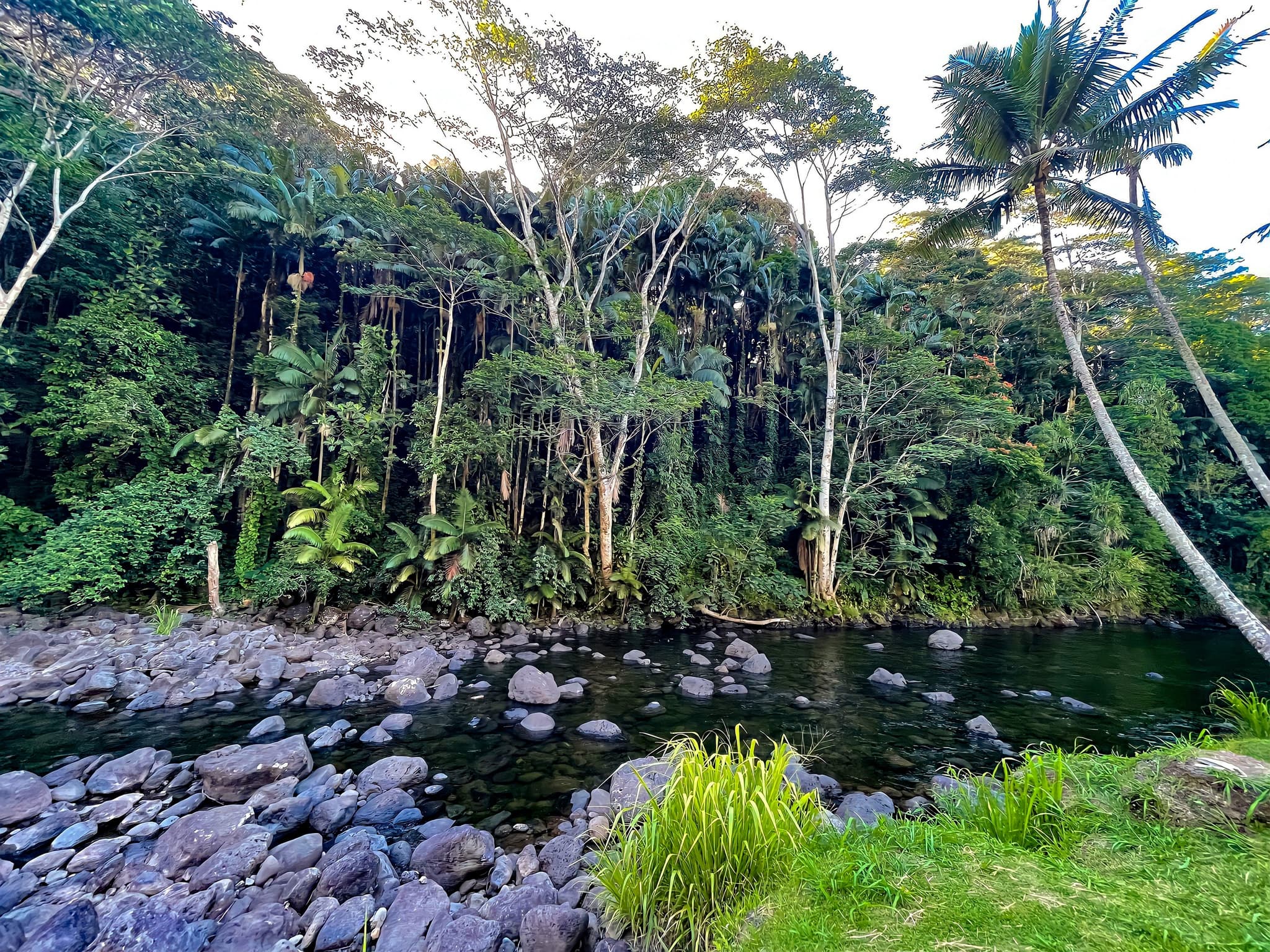 Private Custom Van Full Day Guided Tour - Big Island of Hawaii