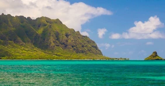 Rest & Recuperation Tour