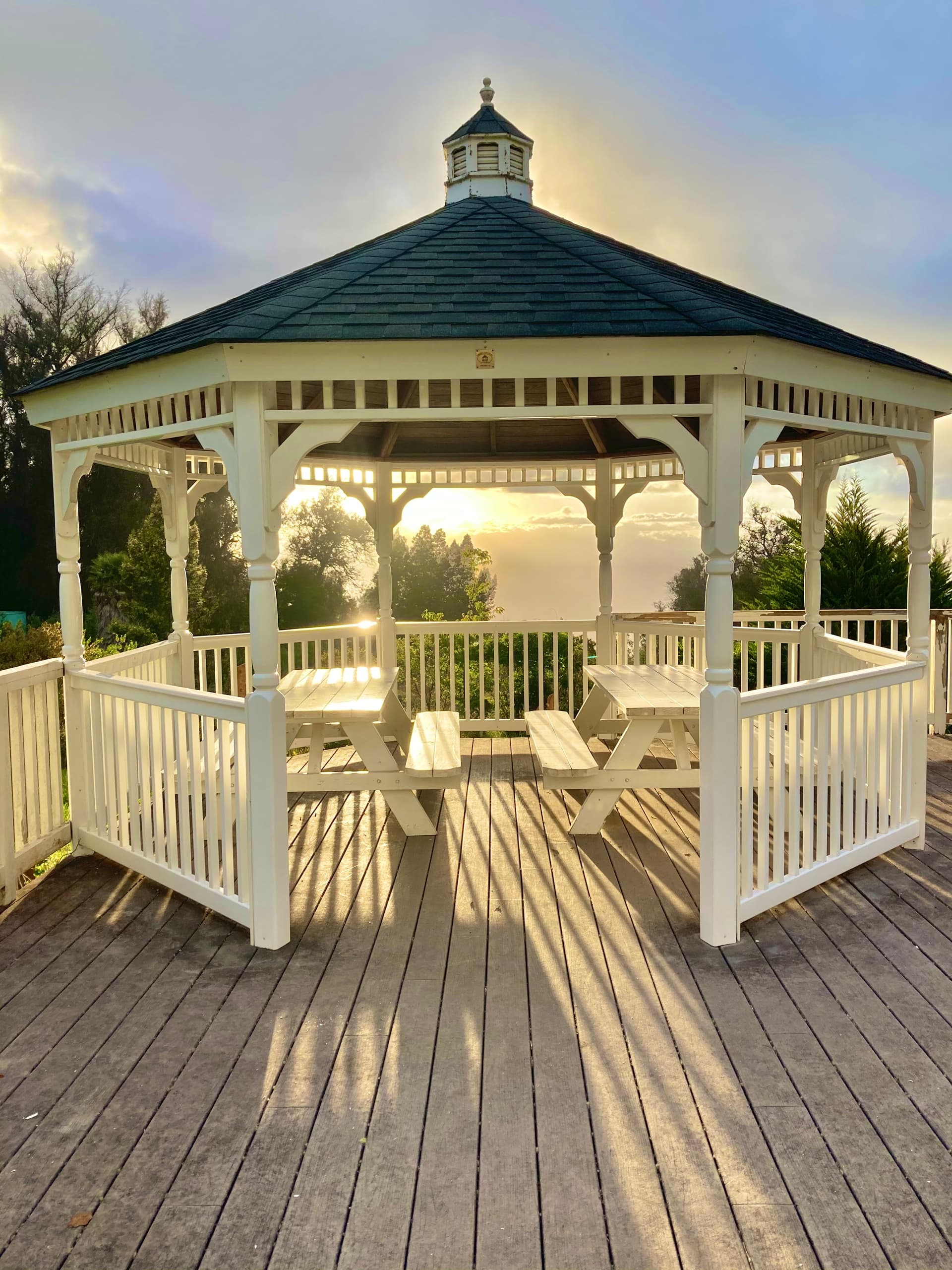 Tea Gazebo Rental