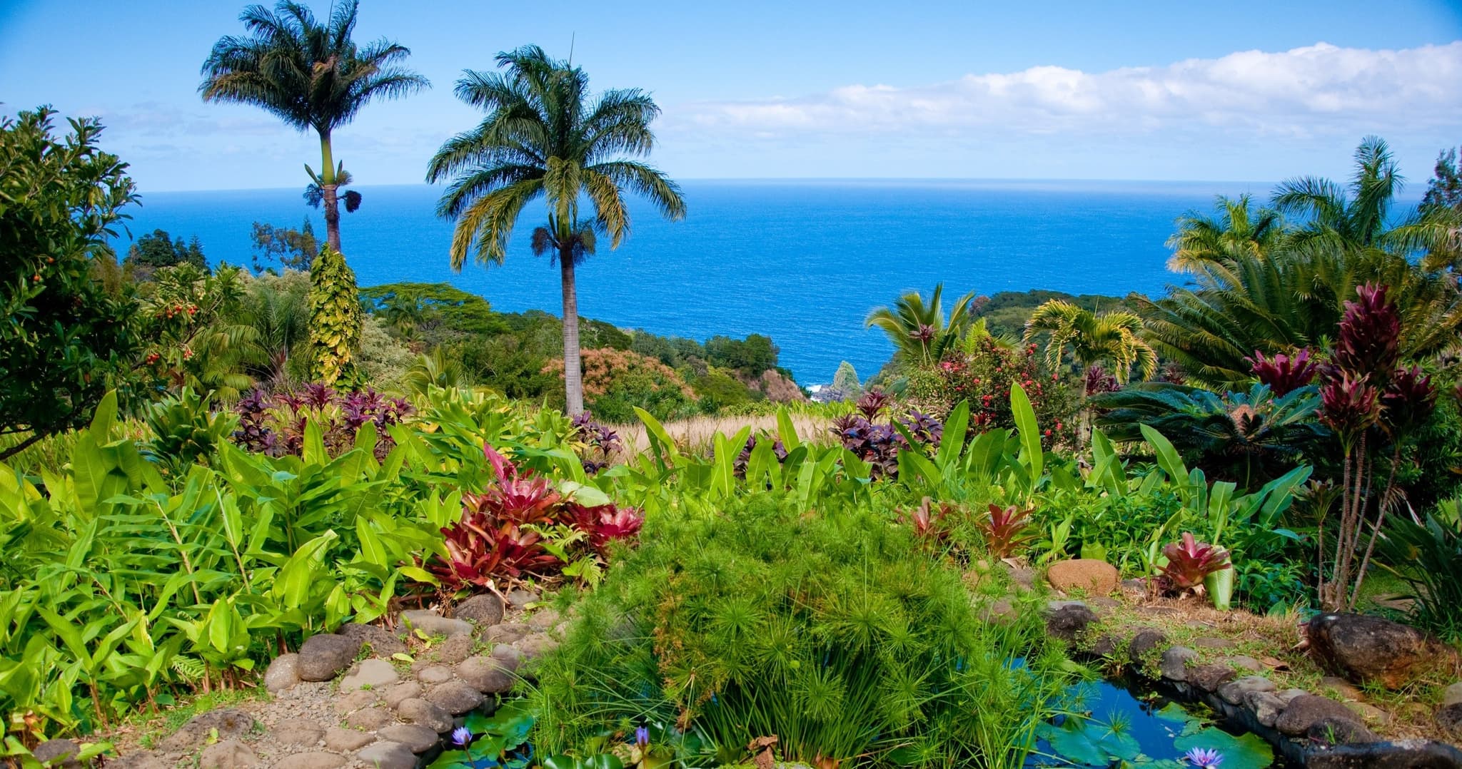 Private Upcountry Maui VIP Sunset Tour Large Group - Full Day