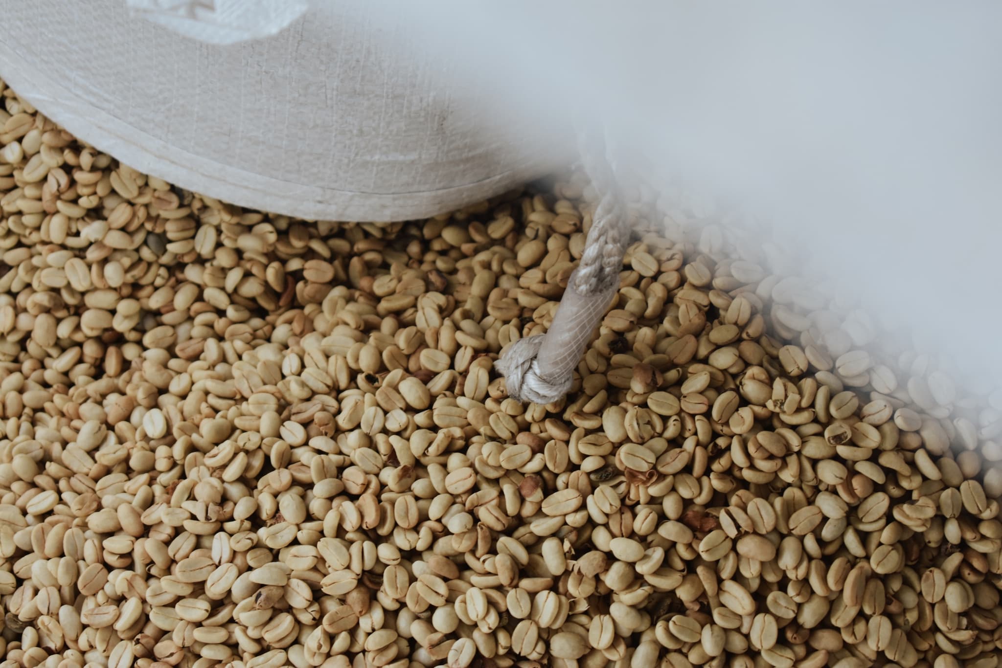 Kona Coffee Tour and Tasting