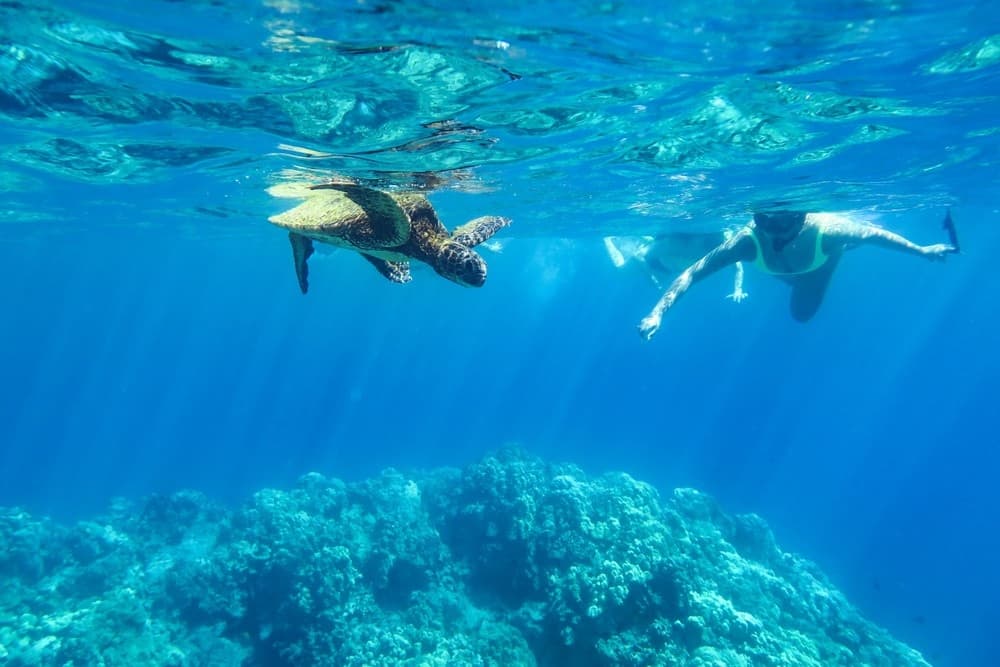 Best Big Island Snorkel