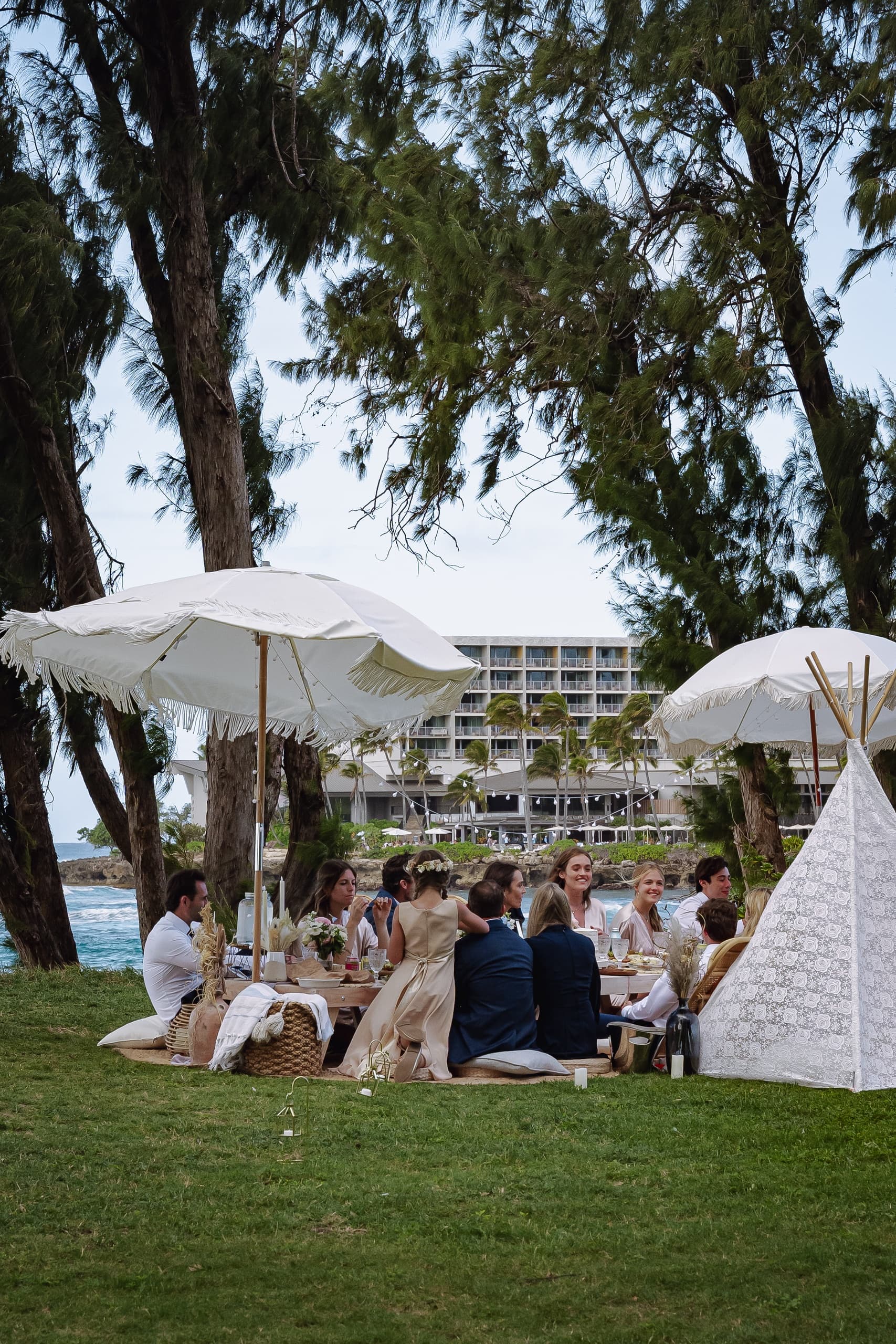 Luxury Celebration Picnic : Three - Twenty Guests