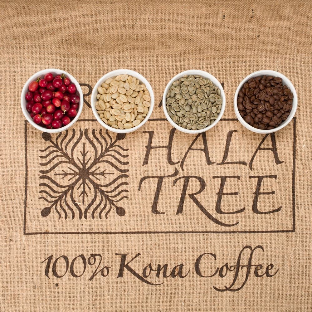 Transparency in Kona Coffee Farming