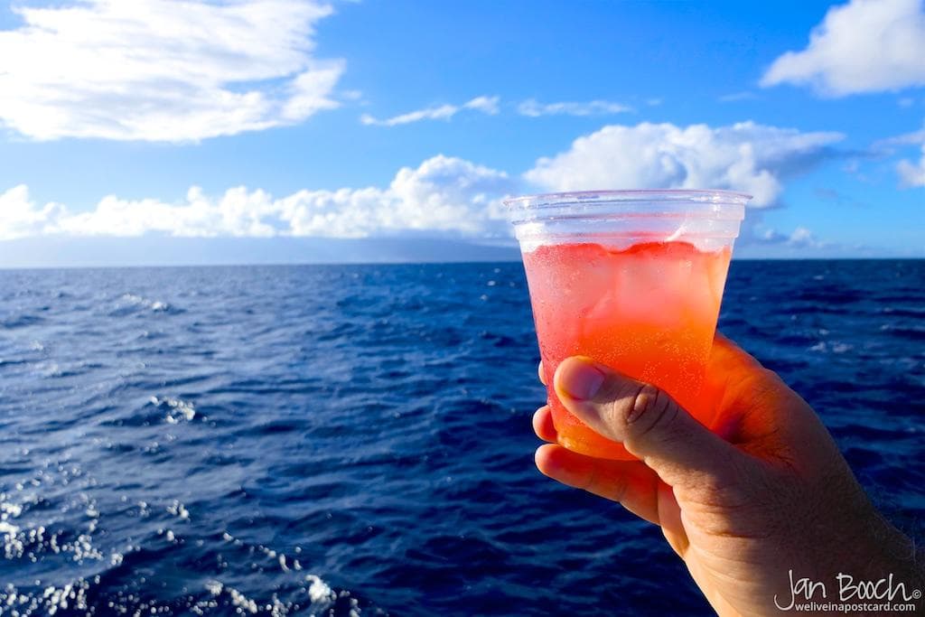 Afternoon Whale Watch